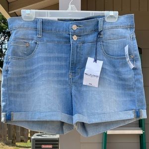 Wallflower Shorts Size 15